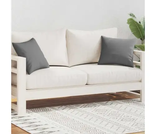 Aiapadjad 2 Tk, 45 X 45 cm Hall