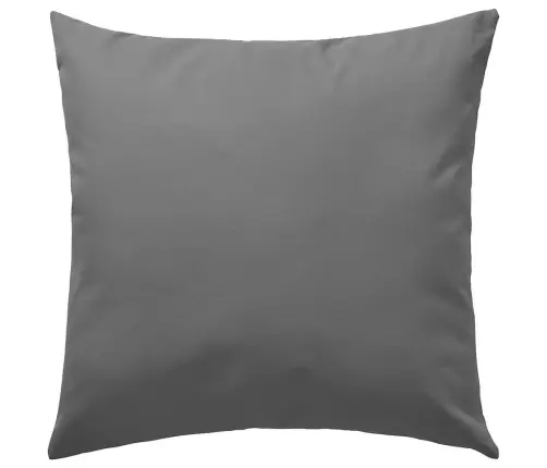 Aiapadjad 2 Tk, 45 X 45 cm Hall