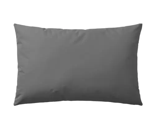 Lauko Pagalvės, 2 Vnt., Pilkos, 60X40 Cm