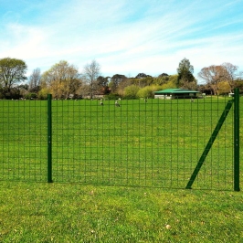 Euro Tvora, Žalia, 25X1,7M, Plienas