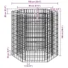 Gabions, Augstā Puķu Kaste, 100X90X100 Cm, Sešstūrveida Vidaxl