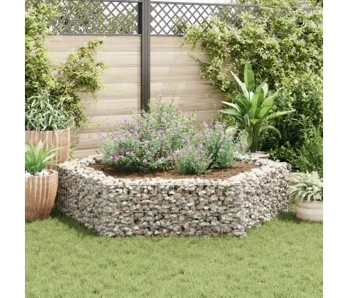 Gabions, Augstā Puķu Kaste, 200X173X40 Cm, Sešstūrveida Vidaxl