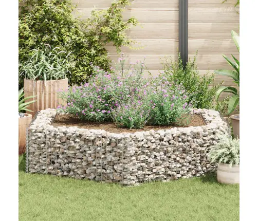 Gabions, Augstā Puķu Kaste, 200X173X40 Cm, Sešstūrveida Vidaxl