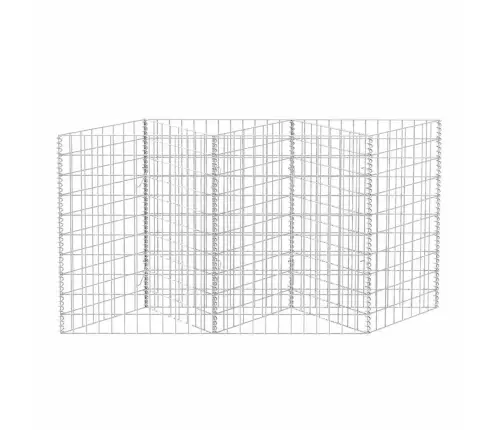 Gabioonkorv, Tsingitud Teras 120 X 30 X 100 Cm