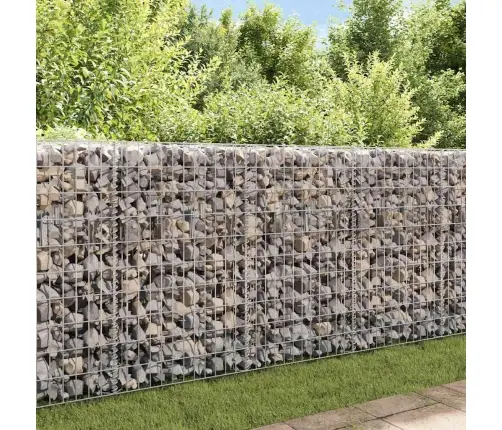 Gabioonkorv, Tsingitud Teras 120 X 30 X 100 Cm