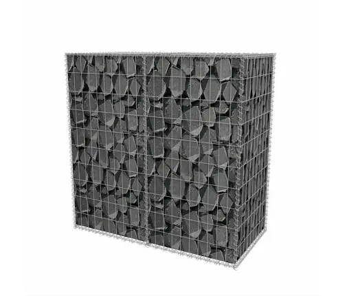 Gabions, Cinkots Tērauds, 100X50X100 Cm Vidaxl