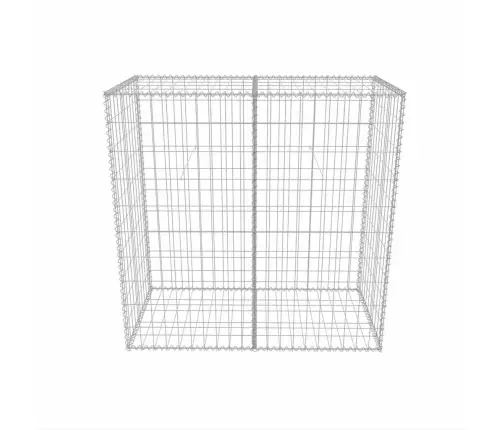Gabions, Cinkots Tērauds, 100X50X100 Cm Vidaxl