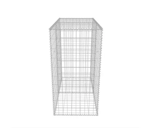 Gabions, Cinkots Tērauds, 100X50X100 Cm Vidaxl