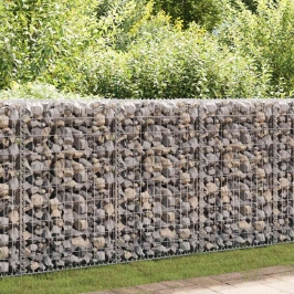 Gabions, Cinkots Tērauds, 100X50X100 Cm Vidaxl