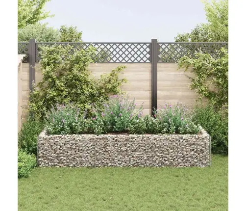 Gabioon-Taimelava, Teras 270 X 90 X 50 Cm