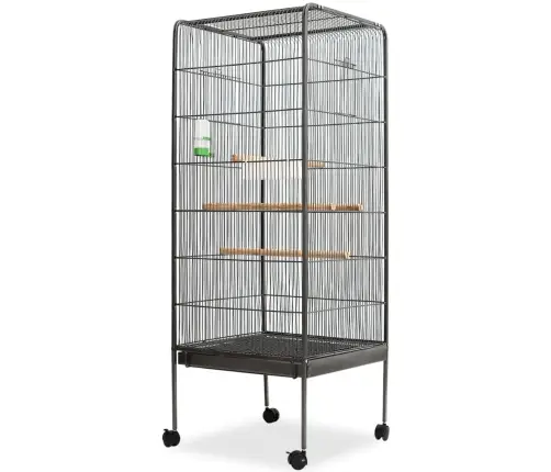 Narvas Paukščiams, Juodas, 54X54X146cm Plienas