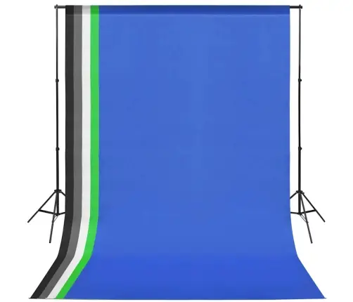 Fotostuudio Komplekt Viie Tausta Ja Kahe Softboxiga