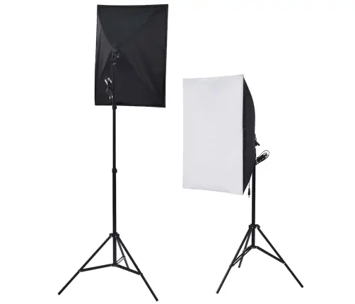 Fotostuudio Komplekt Viie Tausta Ja Kahe Softboxiga
