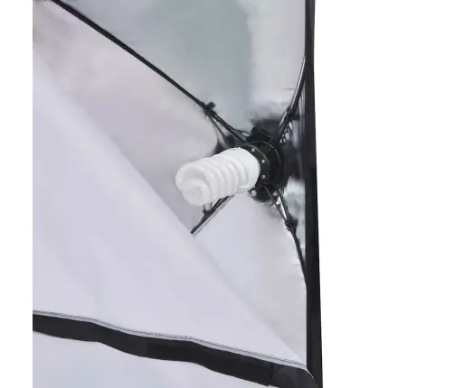 Fotostuudio Komplekt Viie Tausta Ja Kahe Softboxiga