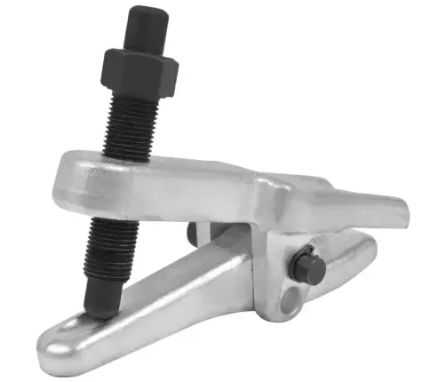 Šarnyrų Nuėmėjas