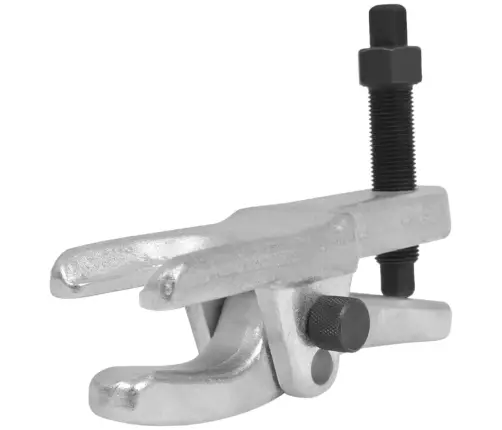 Šarnyrų Nuėmėjas