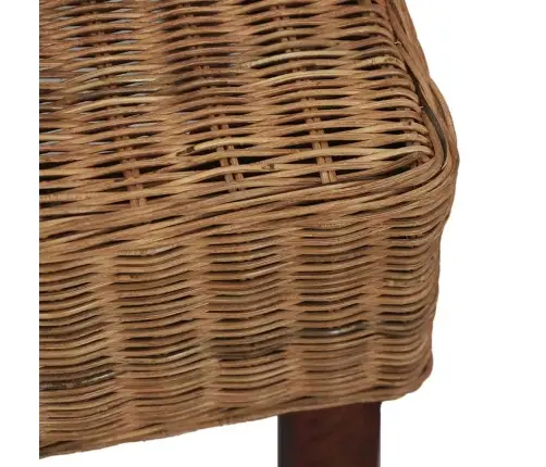 Valgomojo Kėdės, 2 Vnt., Rudos, Natūralus Ratanas