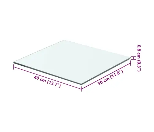 Vidaxli Klaasist Riiuliplaat 40 X 30 Cm Läbipaistev