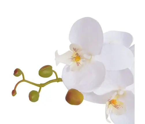 Dirbtinė Orchidėja Su Vazonu, 65 cm Balta