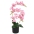 Dirbtinė Orchidėja Su Vazonu, 65 cm Rožinė