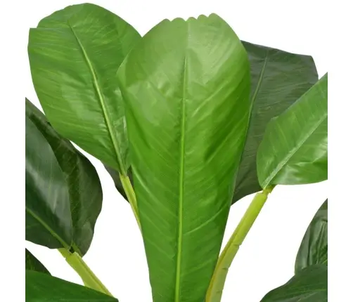 Dirbtinis Bananmedis Su Vazonu, 150 cm Žalias