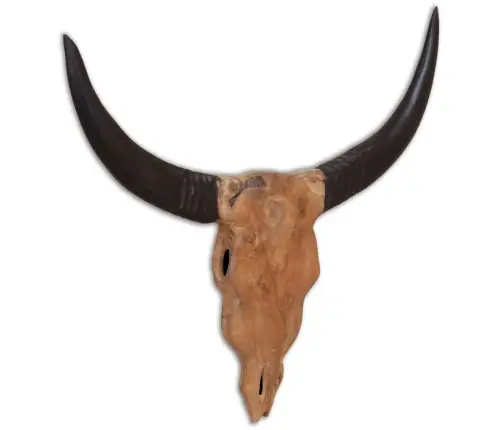 Seinale Kinnitatav Härja Kolju Skulptuur, Tiikpuu, 69X6X60 Cm