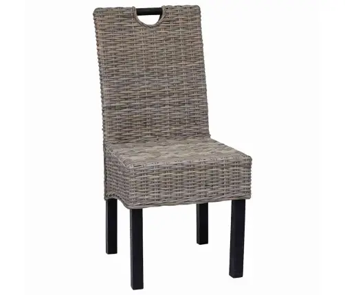 Söögitoolid 4 Tk, Kubu Rotang Ja Mangopuit