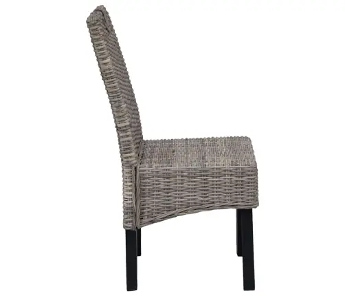 Söögitoolid 4 Tk, Kubu Rotang Ja Mangopuit