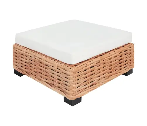 27-Osaline Diivanikomplekt, Looduslik Rotang