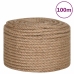 Virve, 10 Mm, 100 M, 100% Džuta Vidaxl