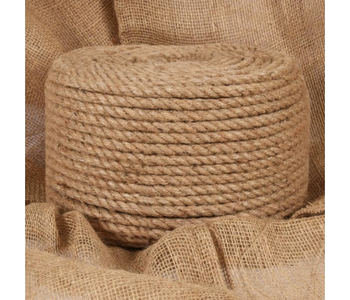 Virve, 10 Mm, 100 M, 100% Džuta Vidaxl