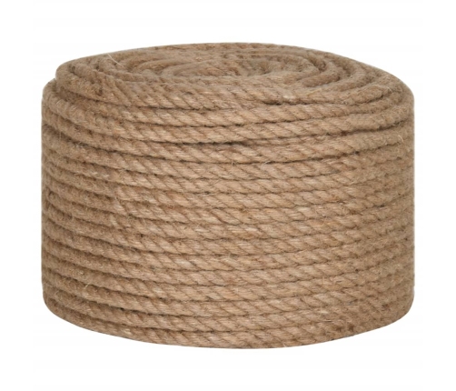 Virve, 12 Mm, 100 M, 100% Džuta Vidaxl