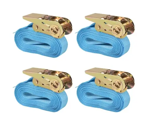 Kravu Stiprināšanas Siksna, 4 Gab., 0,8 T, 6Mx25Mm, Zila Vidaxl