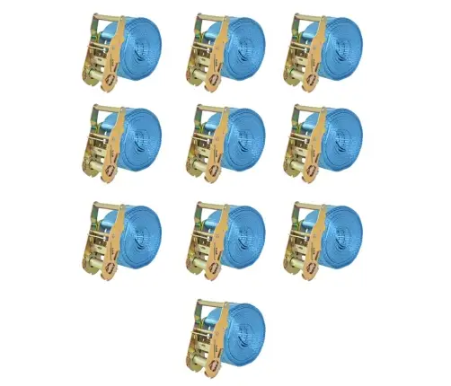 Kravu Stiprināšanas Siksna Ar Sprūdratu, 10 Gab., 2 T, 6Mx38 Mm Vidaxl
