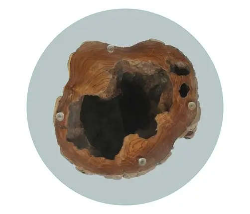 Kafijas Galdiņš, Tīkkoks, Stikls, 50X40 Cm Vidaxl