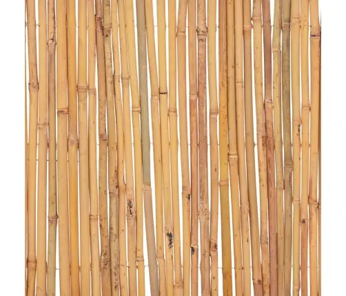 Bambusa Žogs, 500X30 Cm Vidaxl