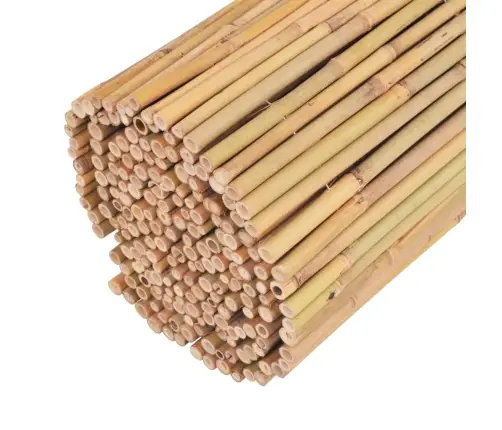 Bambusa Žogs, 300X100 Cm Vidaxl