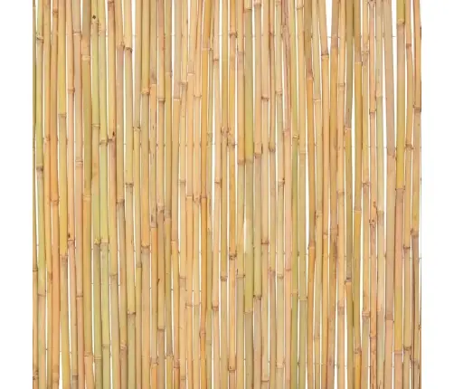 Bambusa Žogs, 300X100 Cm Vidaxl