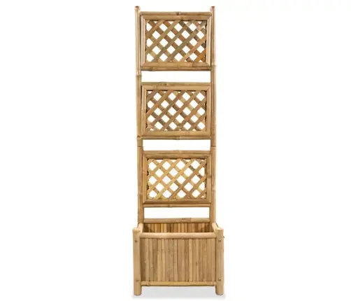 Võrega Taimelava, Bambusest 40 Cm