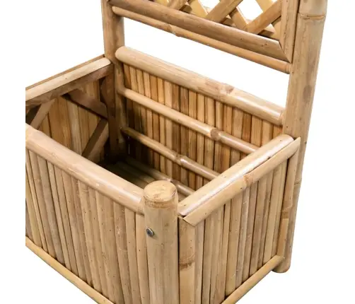 Võrega Taimelava, Bambusest 40 Cm