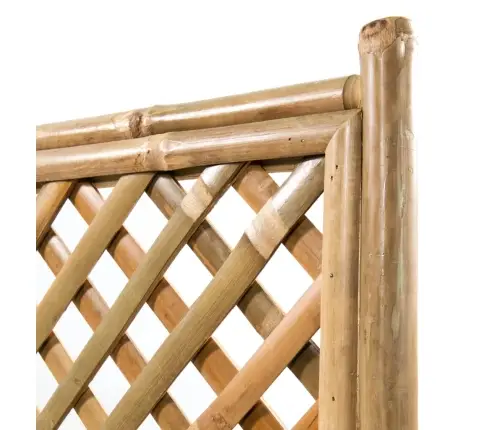 Võrega Taimelava, Bambusest 40 Cm