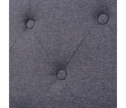 Dvivietė Sofa, Audinys, Pilka