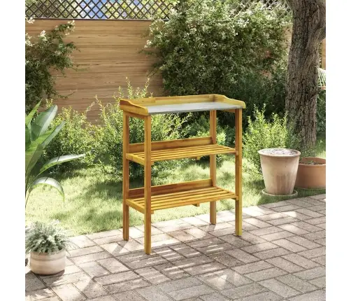 Persodinimo Stalas Su 2 Lentynomis, Akacijos Mediena Su Cinku