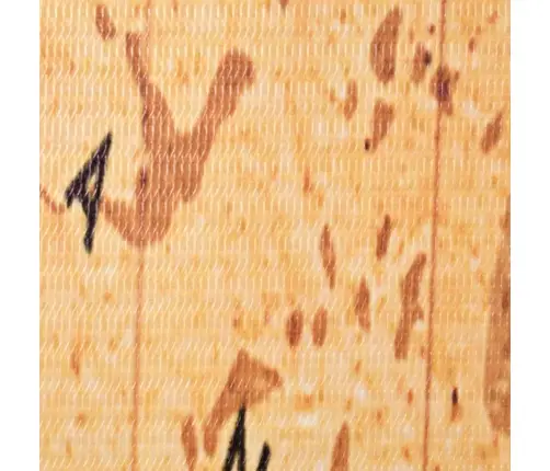 Istabas Aizslietnis, 160X170 Cm, Saliekams, Pasaules Karte Vidaxl