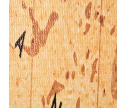 Istabas Aizslietnis, 228X170 Cm, Saliekams, Pasaules Karte Vidaxl