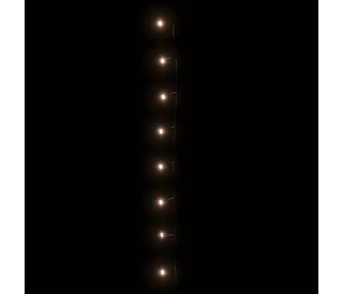 Lampiņu Virtene, 400 Led, 40 M, 8 Gaismas Efekti, Silti Balta Vidaxl