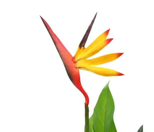 Mākslīgais Augs, Karaliskā Strelīcija, Paradīzes Putns, 66 Cm Vidaxl