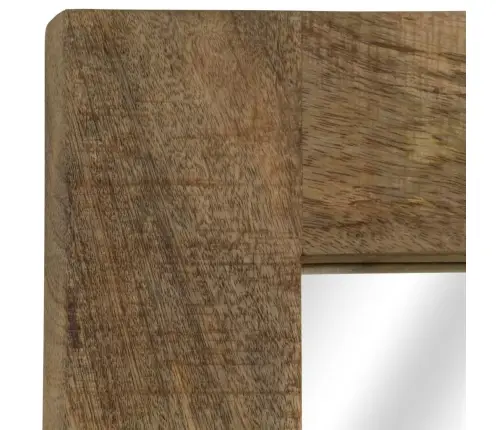 Spogulis, 50X110 Cm, Mango Masīvkoks Vidaxl