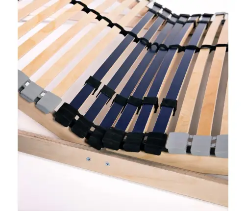 Gultas Redeles, 42 Līstītes, 7 Zonas, 100X200 Cm Vidaxl