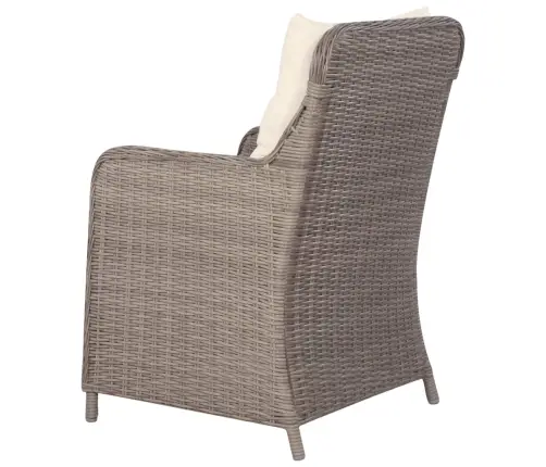 Lauko Kėdės Su Pagalvėlėmis, 2Vnt., Rudos Sp., Poliratanas